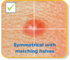 Symmetrical with matching halves