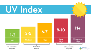 UV Index diagram